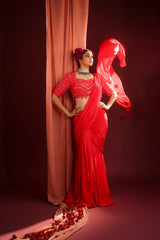 SCARLET ALLURE SEQUIN SAREE SET